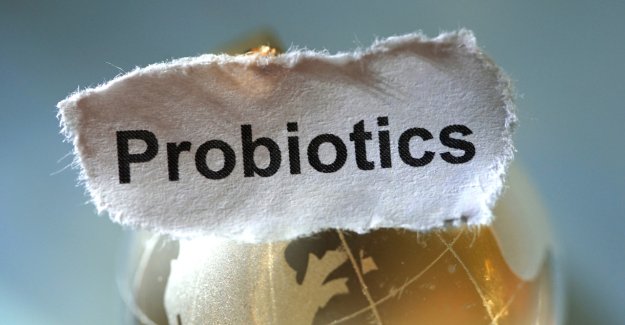 Probiotici da viaggio: alleati contro gonfiore e intestino pigro