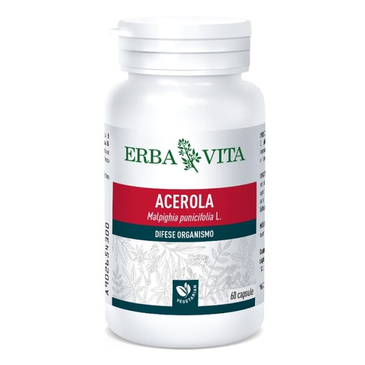 ACEROLA 60CPS 550MG EBV ACEROLA 60CPS 550MG EBV