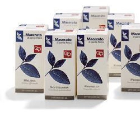 SCUTELLARIA 100ML TM FTM