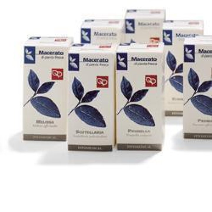 SCUTELLARIA 100ML TM FTM