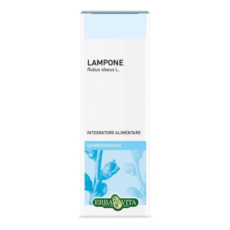 GEMMODERIVATO LAMPONE 50ML GEMMODERIVATO LAMPONE 50ML