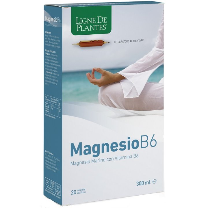 MAGNESIO B6 20AB 15ML
