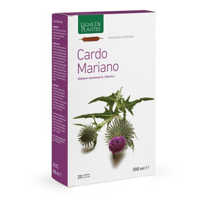 CARDO MARIANO 20AB 15ML< CARDO MARIANO 20AB 15ML<