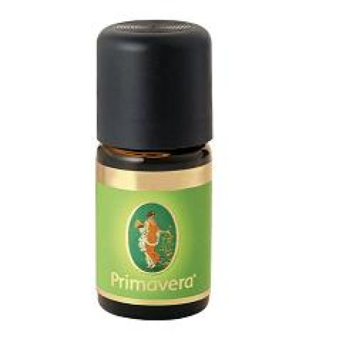 CANNELLA CORT 60% OLIO ESS FLORA
