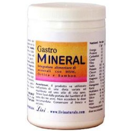 GASTROMINERAL POLV 250GR LIVI GASTROMINERAL POLV 250GR LIVI