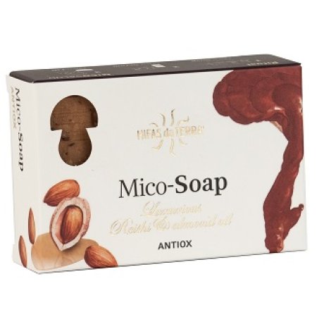 SAPONE AL REISHI ANTIOX 150G SAPONE AL REISHI ANTIOX 150G