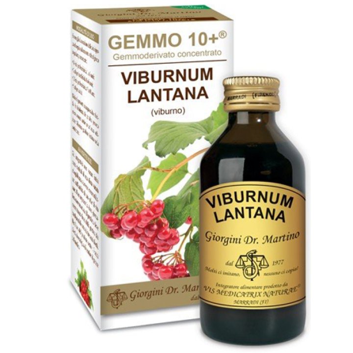VIBURNO LIQ S/ALC 100ML GIORGINI