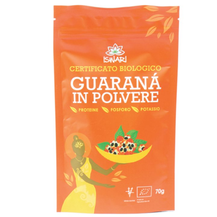 GUARANA' BIO POLVERE 70GR (I6/EB