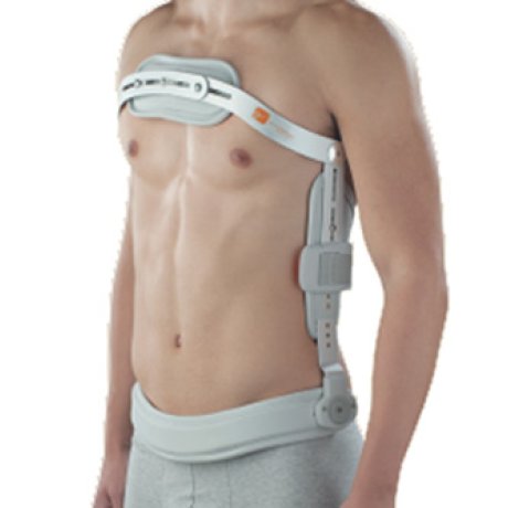 P1000 IPERESTENSORE 3PUNT X/L P1000 IPERESTENSORE 3PUNT X/L