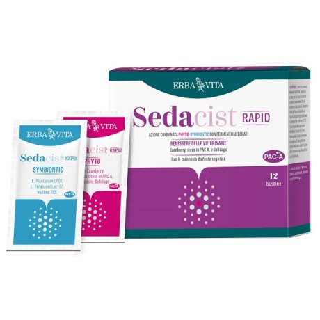 SEDACIST RAPID 6+6BUST SEDACIST RAPID 6+6BUST
