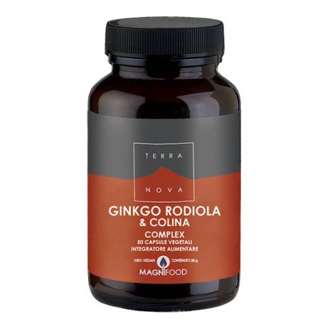 TERRANOVA GINKGO/ROD/COL 50CPS