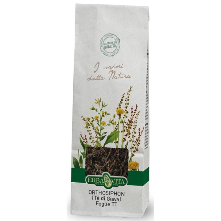 ORTOSIPHON TT 100G EBV