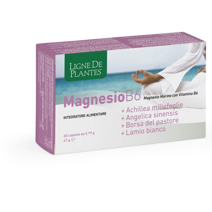 LIGNE MG B6+ACHIL+ANG+PAST+LAM