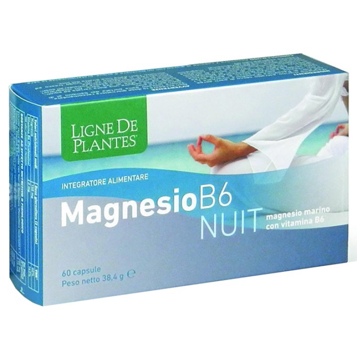 MAGNESIO B-6 NUIT 60CPS MAGNESIO B-6 NUIT 60CPS