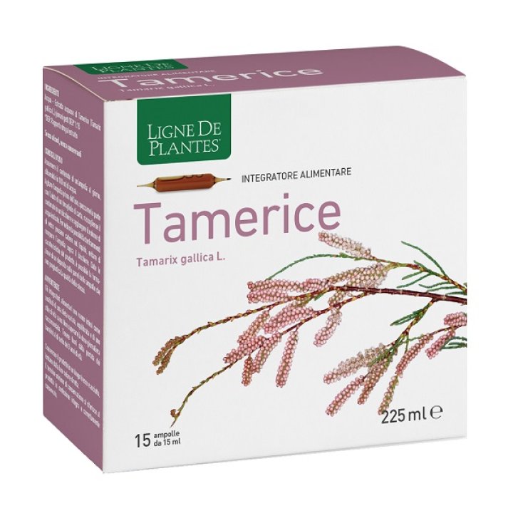 TAMERICE 15AMP 15ML TAMERICE 15AMP 15ML