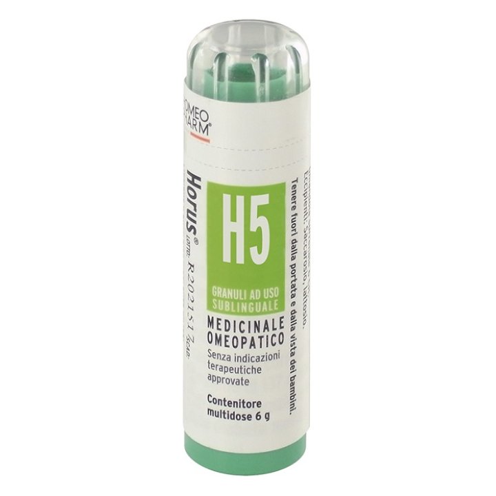 HORUS*H 5 GRAN 6G HORUS*H 5 GRAN 6G