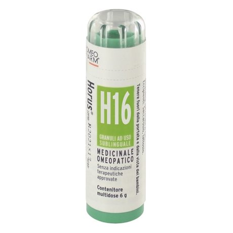 HORUS*H16 GRAN 6G