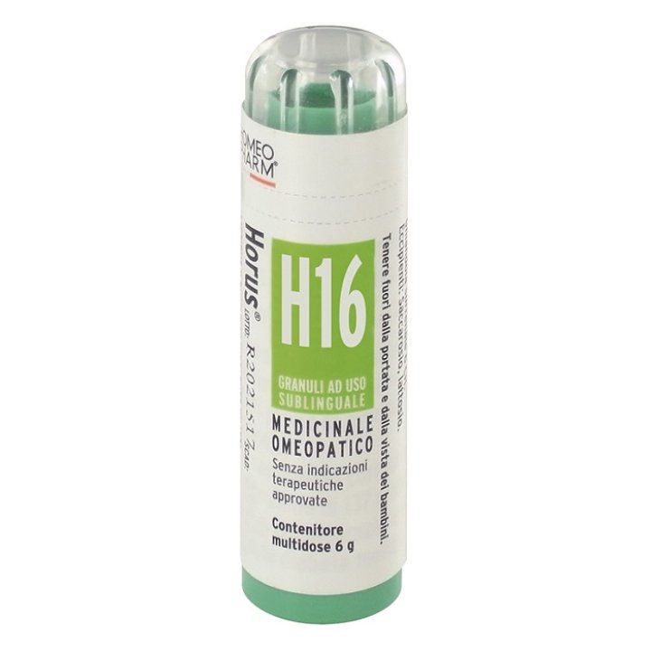 HORUS*H16 GRAN 6G HORUS*H16 GRAN 6G