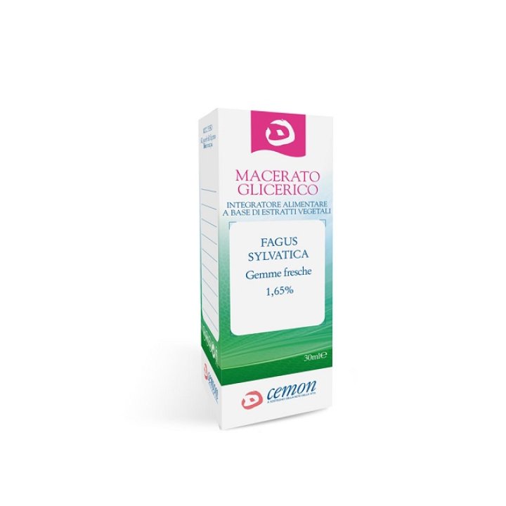 FAGUS SYLVATICA GEM  30ML CEMON
