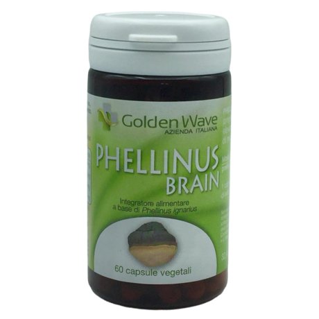 PHELLINUS BRAIN 60CPS VEGETALI
