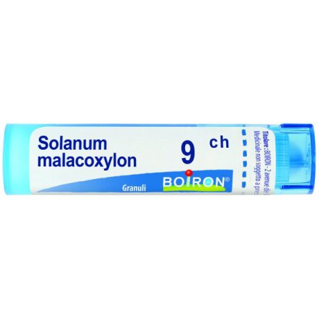 SOLANUM MALACOXILON 9CH GR BO