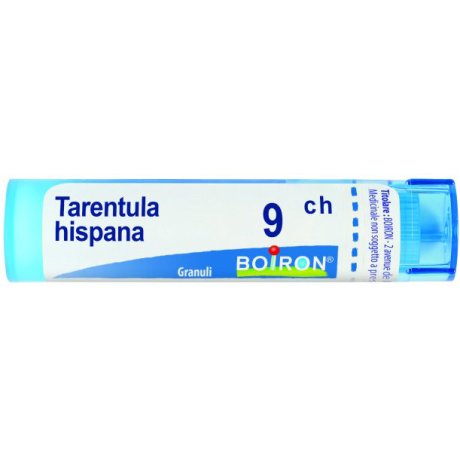 TARENTULA HISPANA 9CH GR<