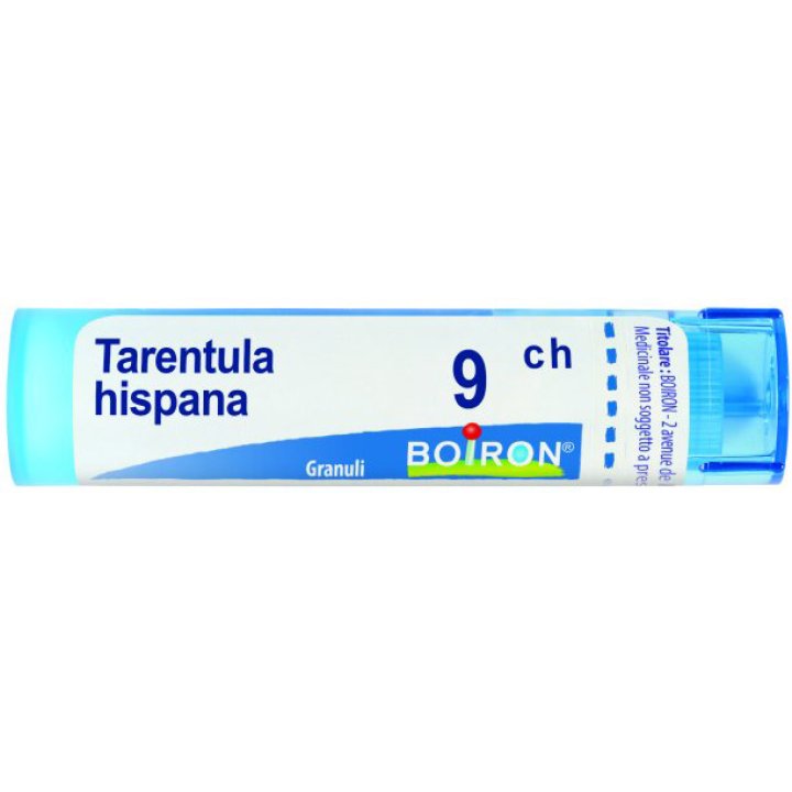 TARENTULA HISPANA 9CH GR<