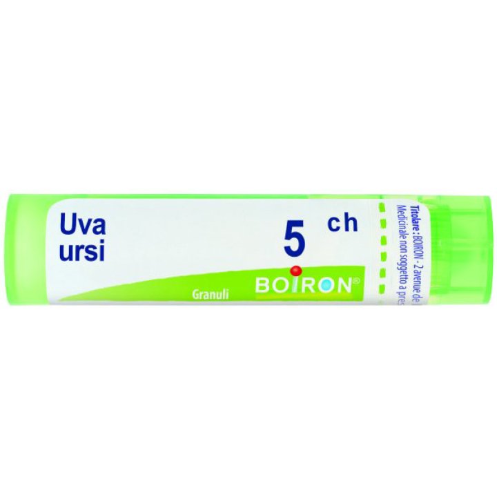 UVA URSI 5CH GR BO<