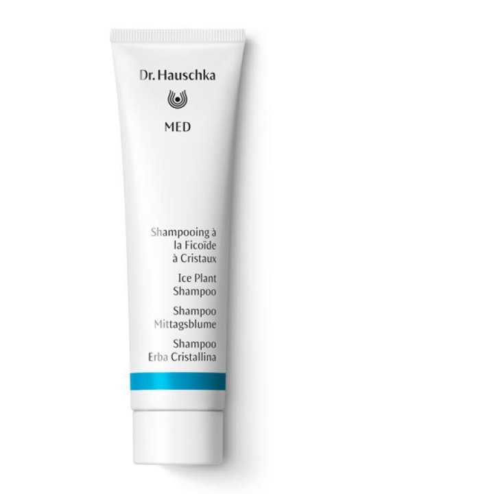 DR HAUSCHKA SH ERBA CRIST150ML DR HAUSCHKA SH ERBA CRIST150ML