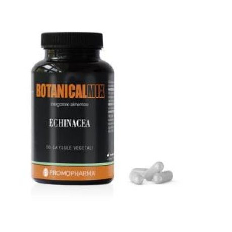 ECHINACEA 50CPS ECHINACEA 50CPS