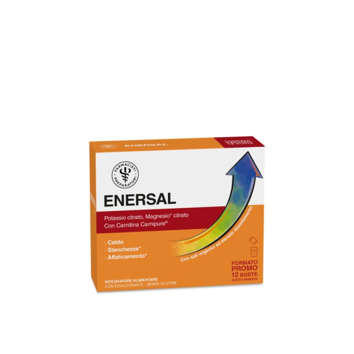LFP PRO ENERSAL 12BUST LFP PRO ENERSAL 12BUST