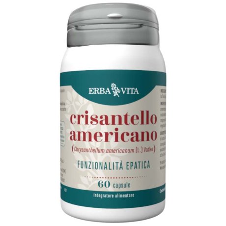 CRISANTELLO AMERICANO 60CPS EBV