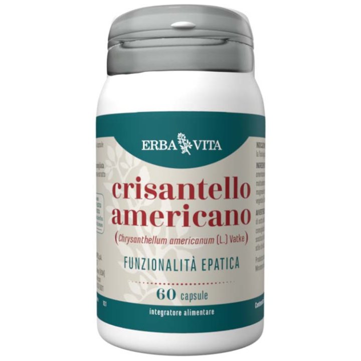 CRISANTELLO AMERICANO 60CPS EBV