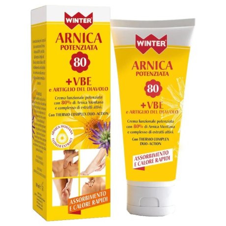 WINTER ARNICA POT+VBE ARTIGLIO