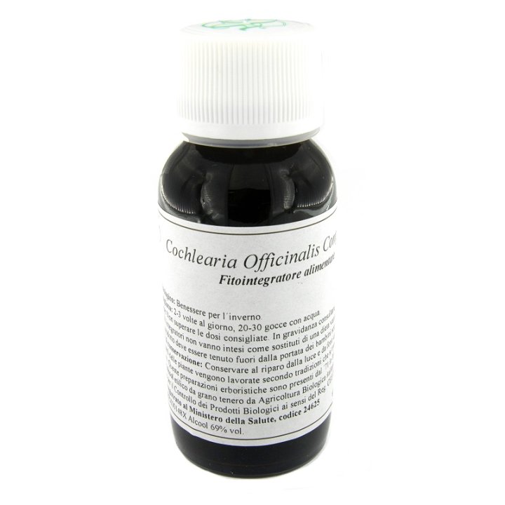 LVS 11N COCHLEARIA OFF COMP