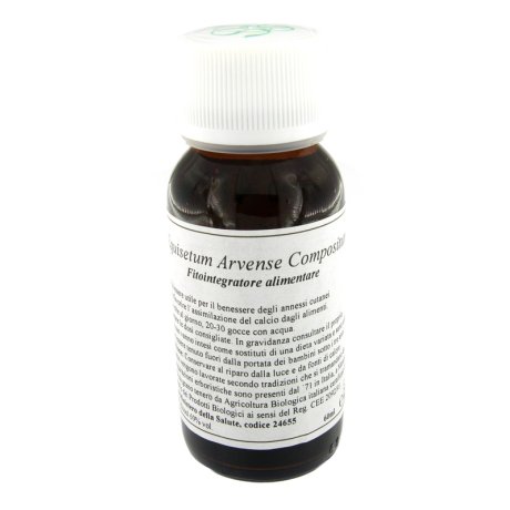 LVS 41N EQUISETUM ARVENSE COMP LVS 41N EQUISETUM ARVENSE COMP