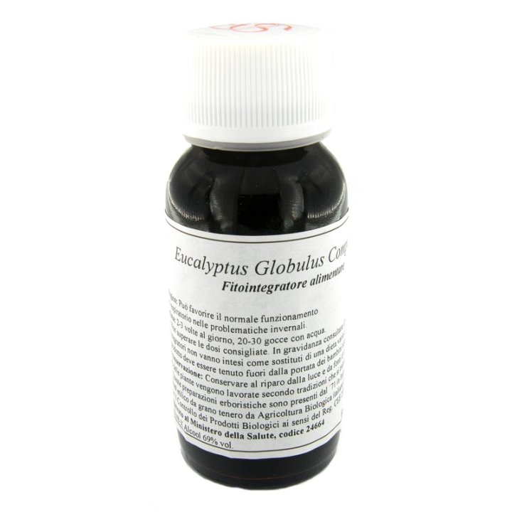 56S EUCALYPTUS GLOBULUS COMP LVS