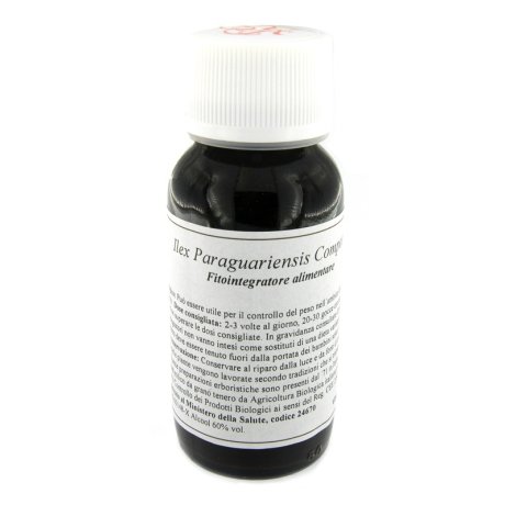 63S ILEX PARAGUARIENSIS COMP LVS