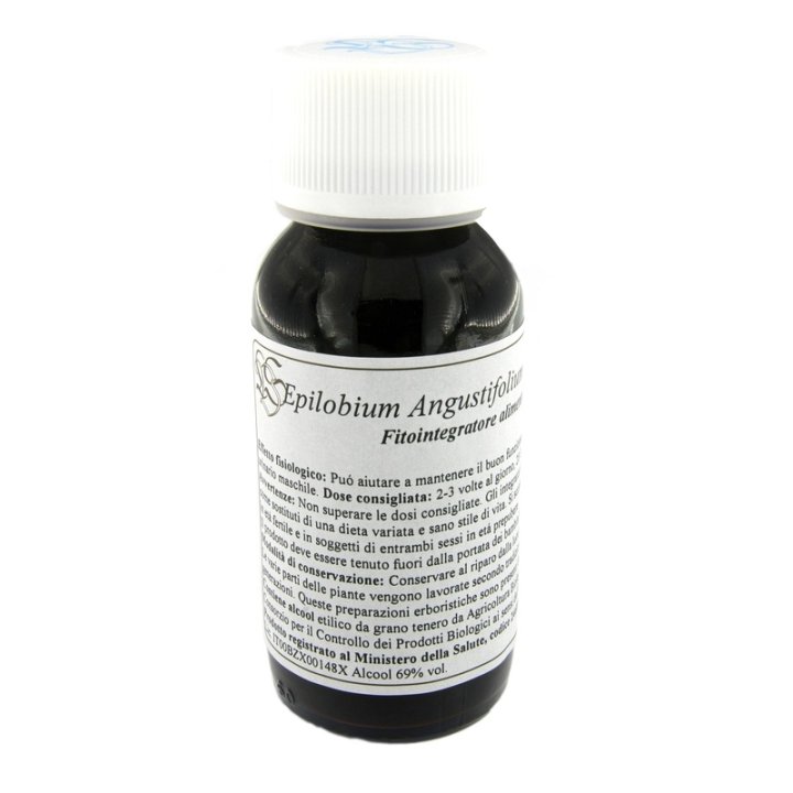 82C EPILOBIUM ANGUSTIF COM LVS