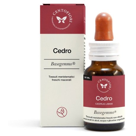 CEDRO BASEGEMMO 30ML CEDRO BASEGEMMO 30ML