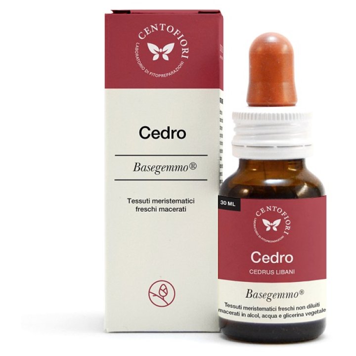 CEDRO BASEGEMMO             30ML