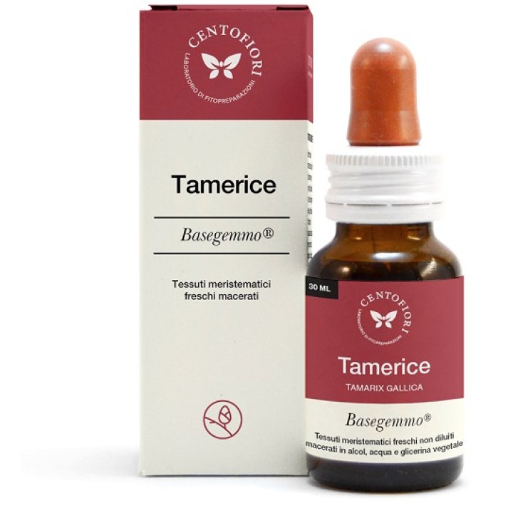 TAMERICE BASEGEMMO 30ML