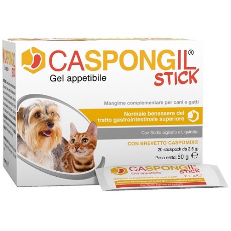 CASPONGIL STICK GEL 20STICKPAC CASPONGIL STICK GEL 20STICKPAC