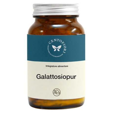 GALATTOSIOPUR                80G