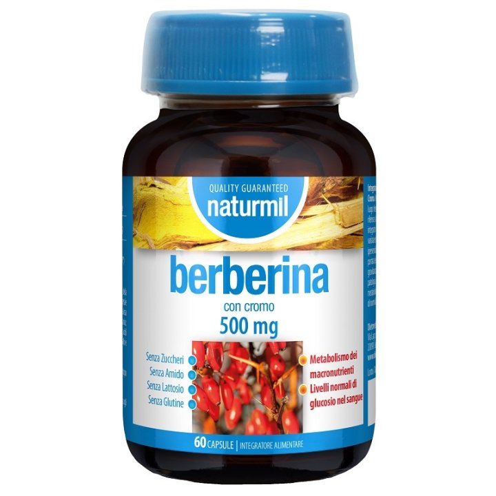 BERBERINA 500MG 60CPS
