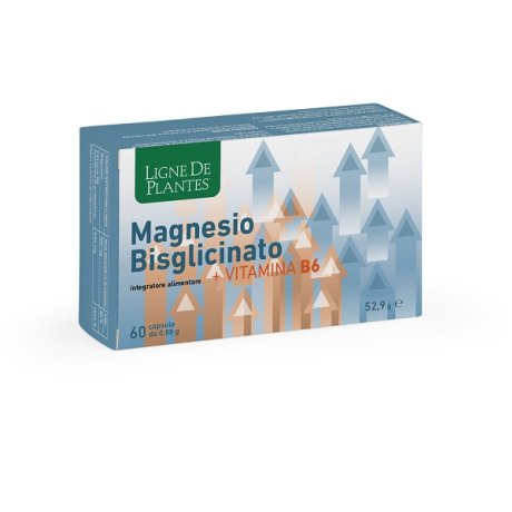 LIGNE MAGNESIO BIS+VITB6 60CPS LIGNE MAGNESIO BIS+VITB6 60CPS