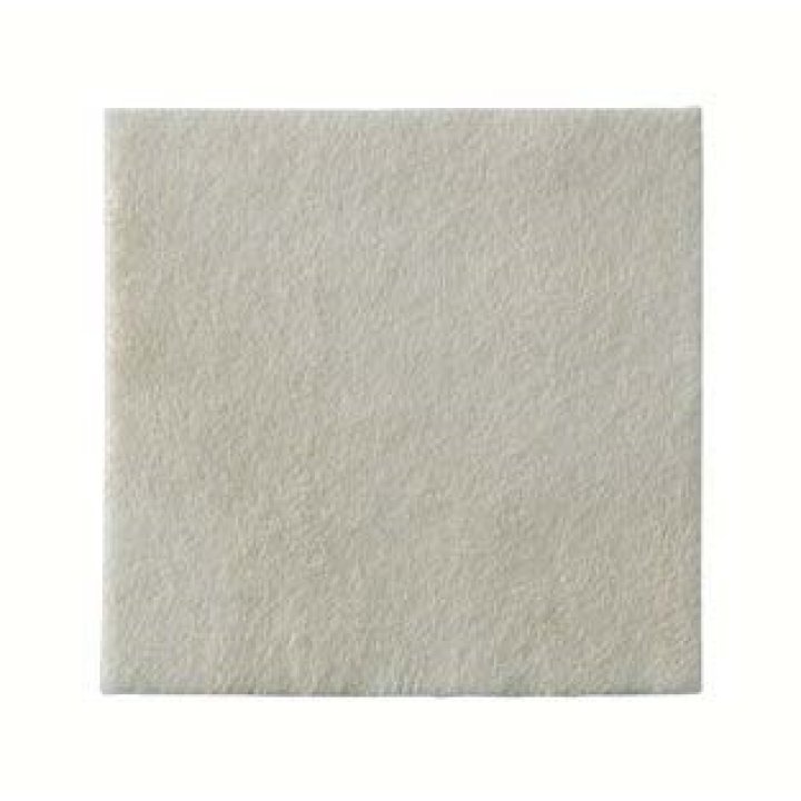 BIATAIN 3760 ALGINATE AG 10X10