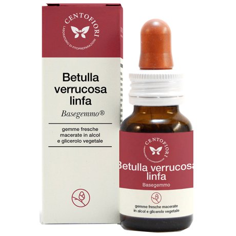 BETULLA VER.LINFA BASEGEMMO 30ML BETULLA VER.LINFA BASEGEMMO 30ML