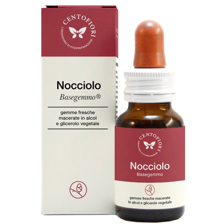 NOCCIOLO BASEGEMMO          30ML