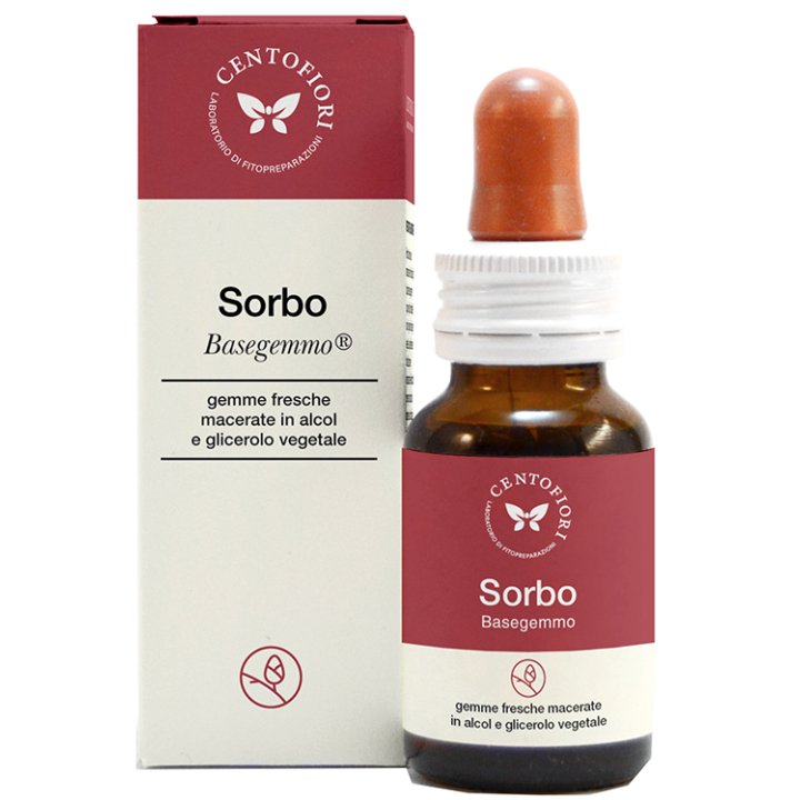 SORBO BASEGEMMO             30ML